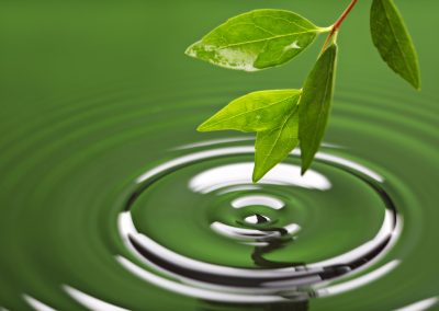 The Ripple Effect: How Peer Support Networks Create Lasting Change in Communities