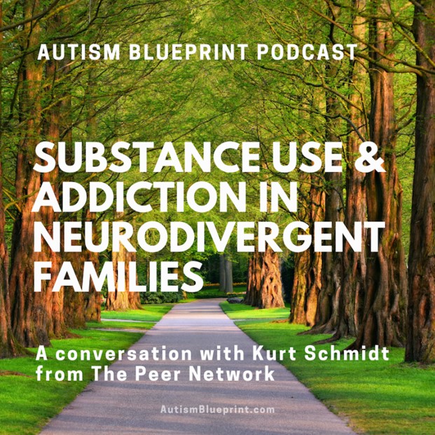 Autism Blueprint Podcast box image