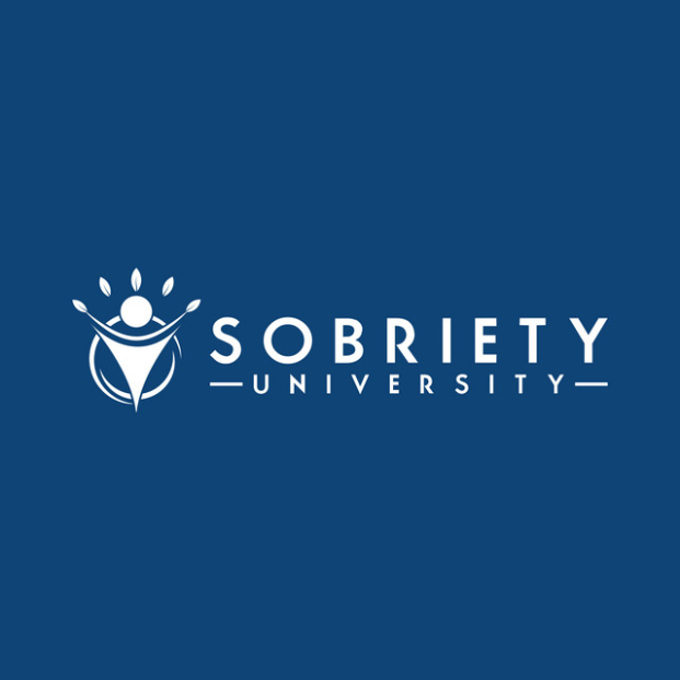 Sobriety University box image
